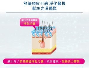 薇霓肌本 無蛋白質胺敏洗髮精
