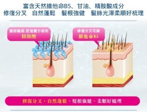 薇霓肌本 B5極致豐盈護髮乳