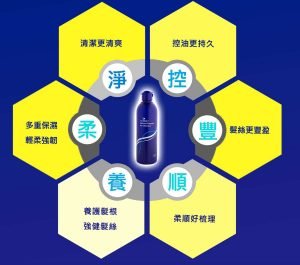 VaniPLUS薇霓進階 光彩健髮洗髮精2瓶組